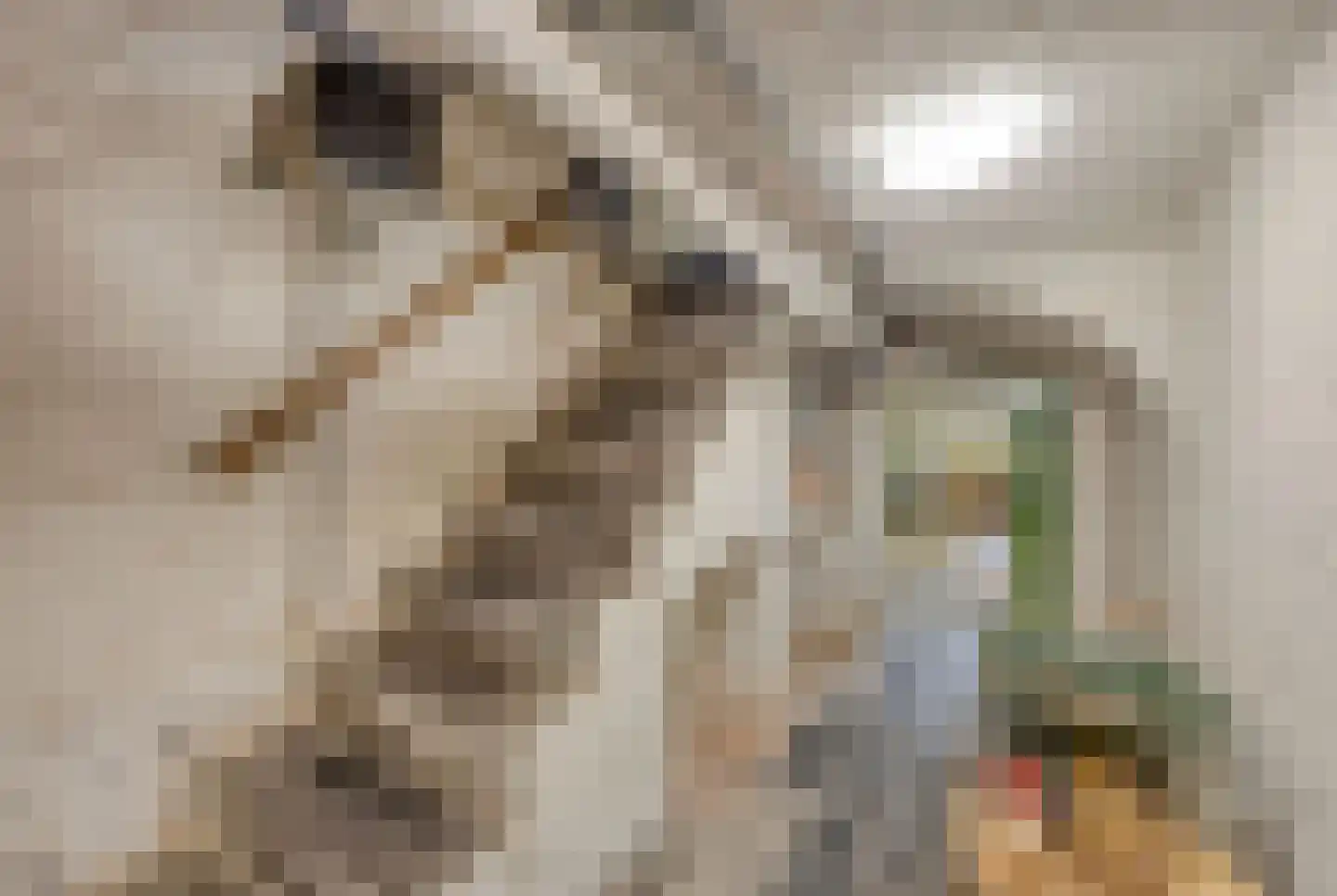 Navagne 1 Eijsden thumbnail 45