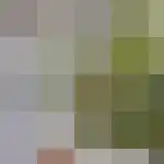 Navagne 1 Eijsden thumbnail 6