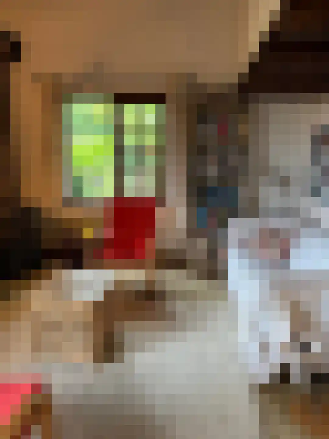 Navagne 1 Eijsden thumbnail 7
