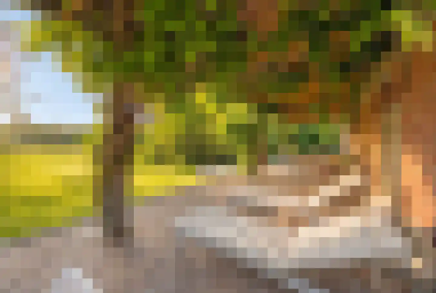 Navagne 1 Eijsden thumbnail 7
