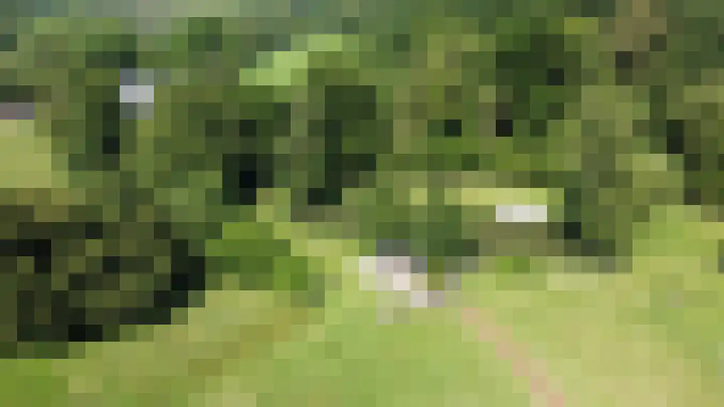 Navagne 1 Eijsden thumbnail 7