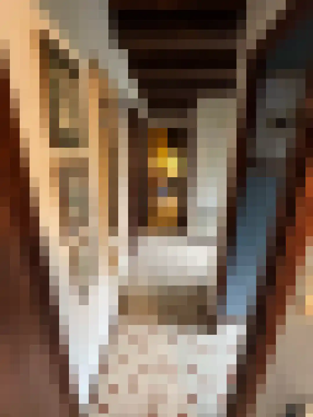 Navagne 1 Eijsden thumbnail 8