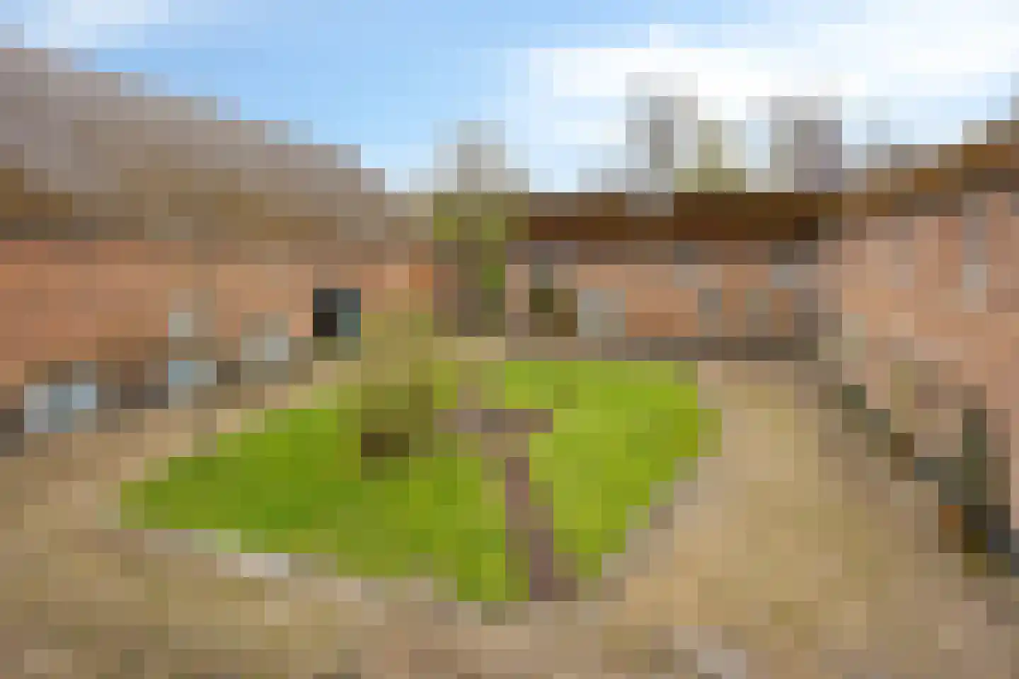 Navagne 16 Eijsden thumbnail 23