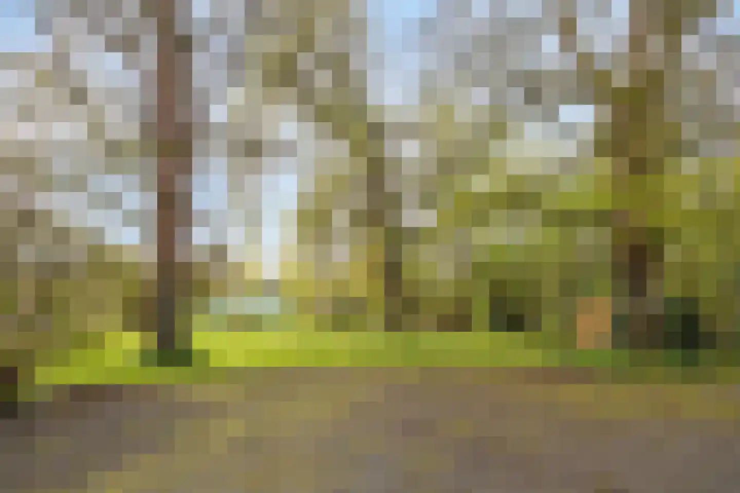 Navagne 16 Eijsden thumbnail 24