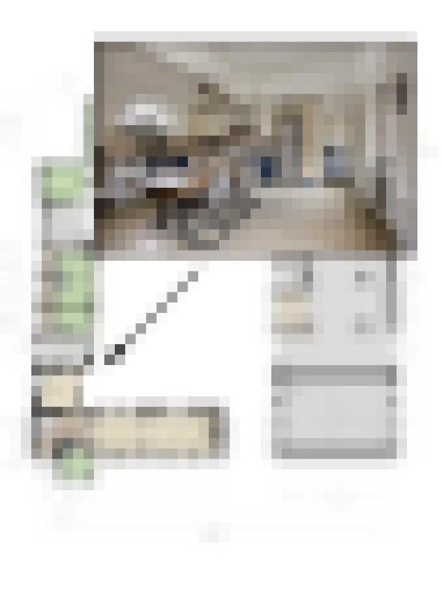 Navagne 16 Eijsden thumbnail 32