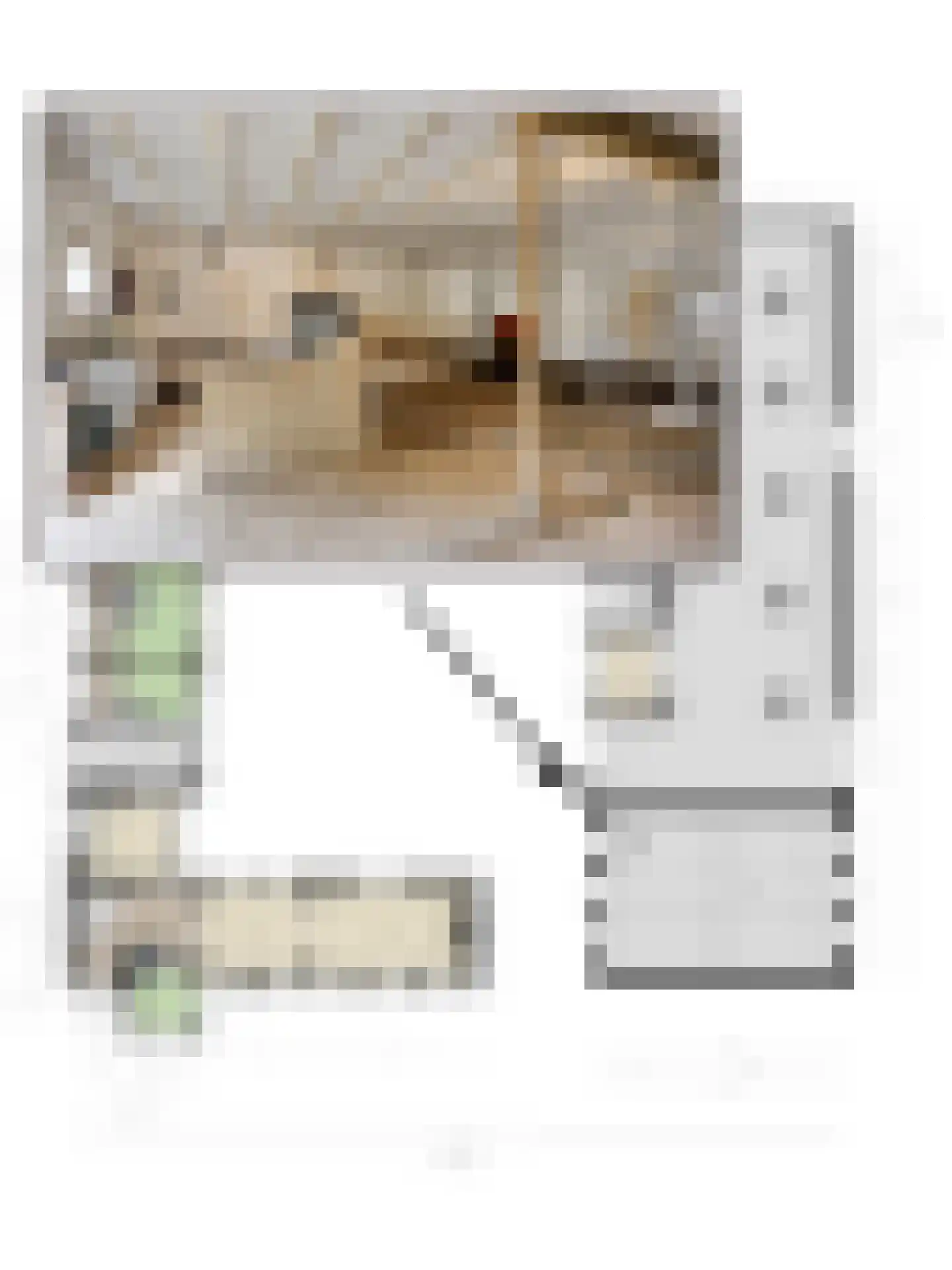 Navagne 16 Eijsden thumbnail 42