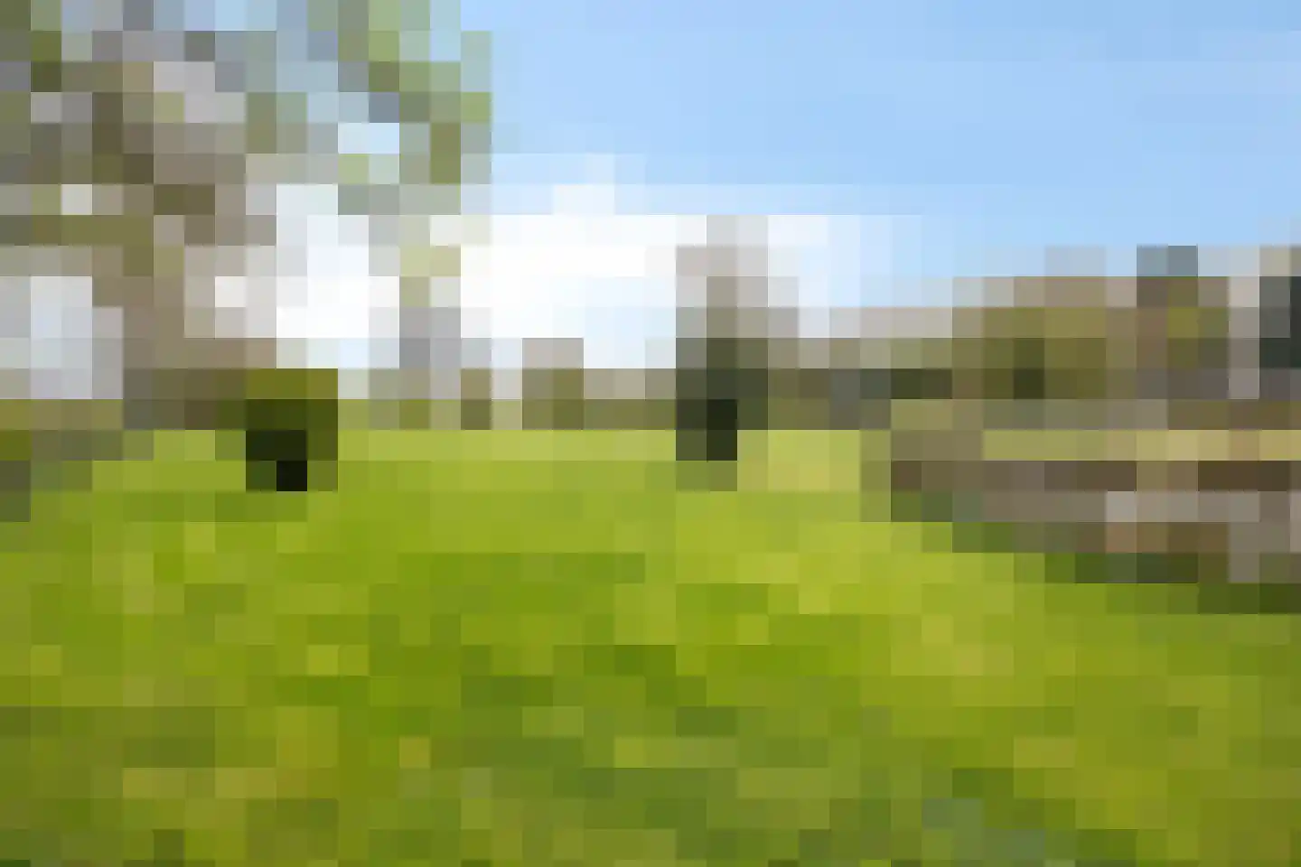 Navagne 16 Eijsden thumbnail 5