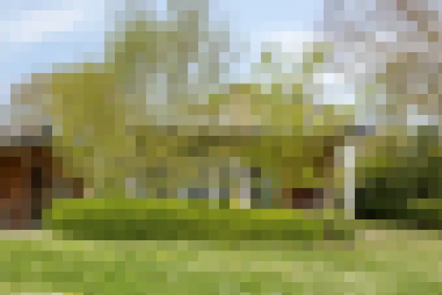 Navagne 168 Eijsden thumbnail 34