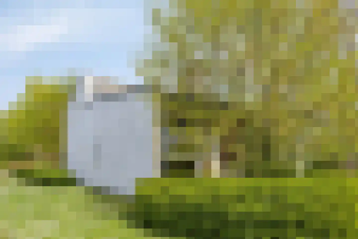 Navagne 168 Eijsden thumbnail 36
