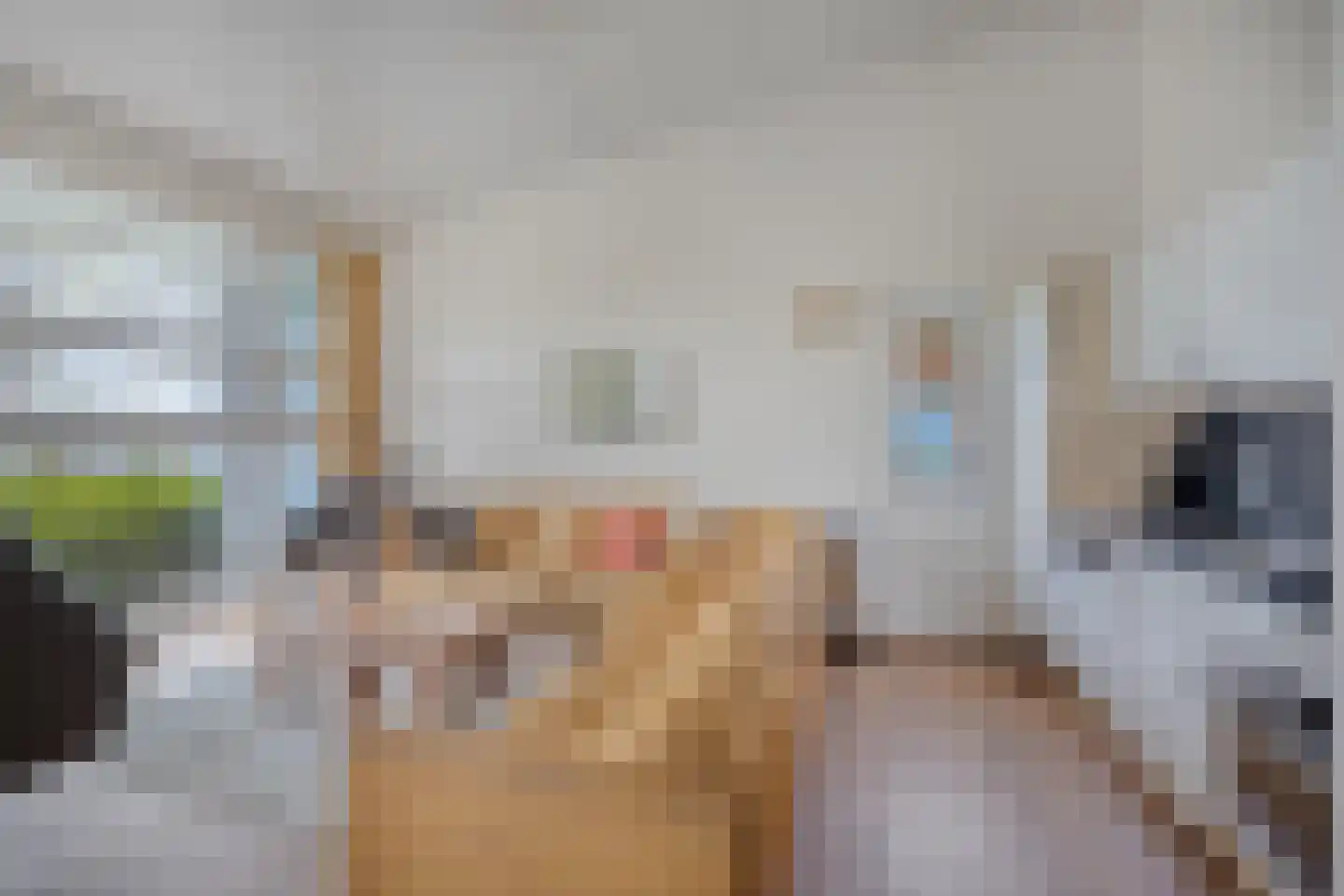 Navagne 168 Eijsden thumbnail 4