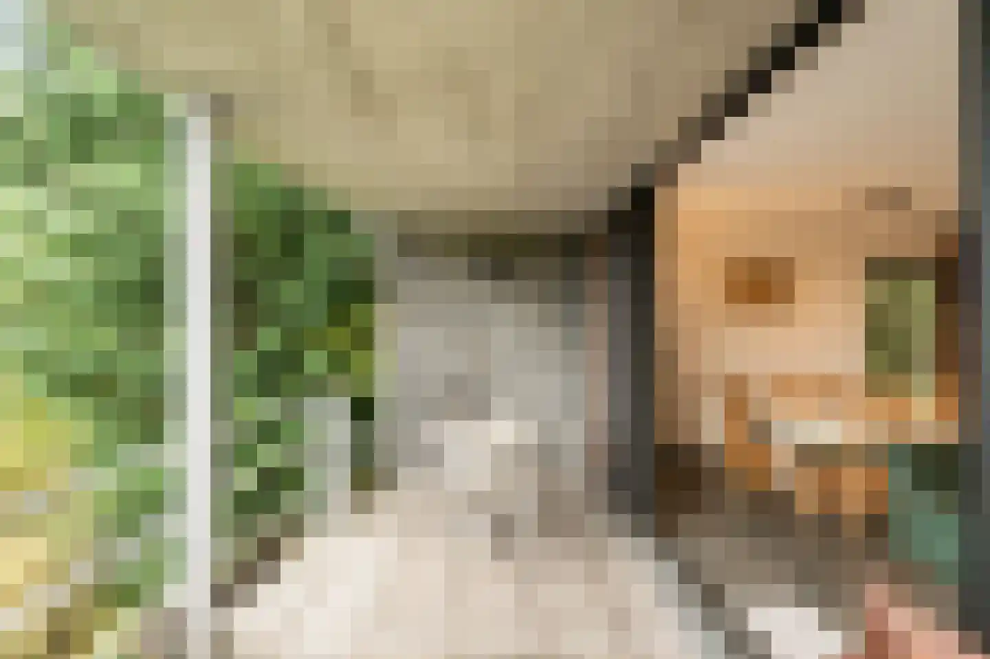 Navagne 216 Eijsden thumbnail 23