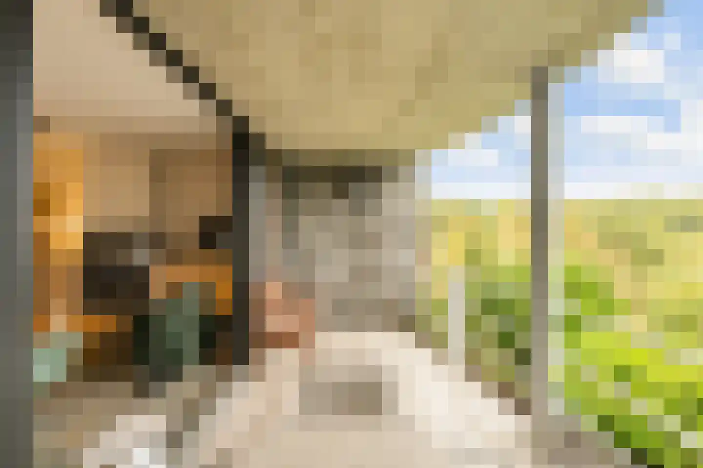 Navagne 216 Eijsden thumbnail 24