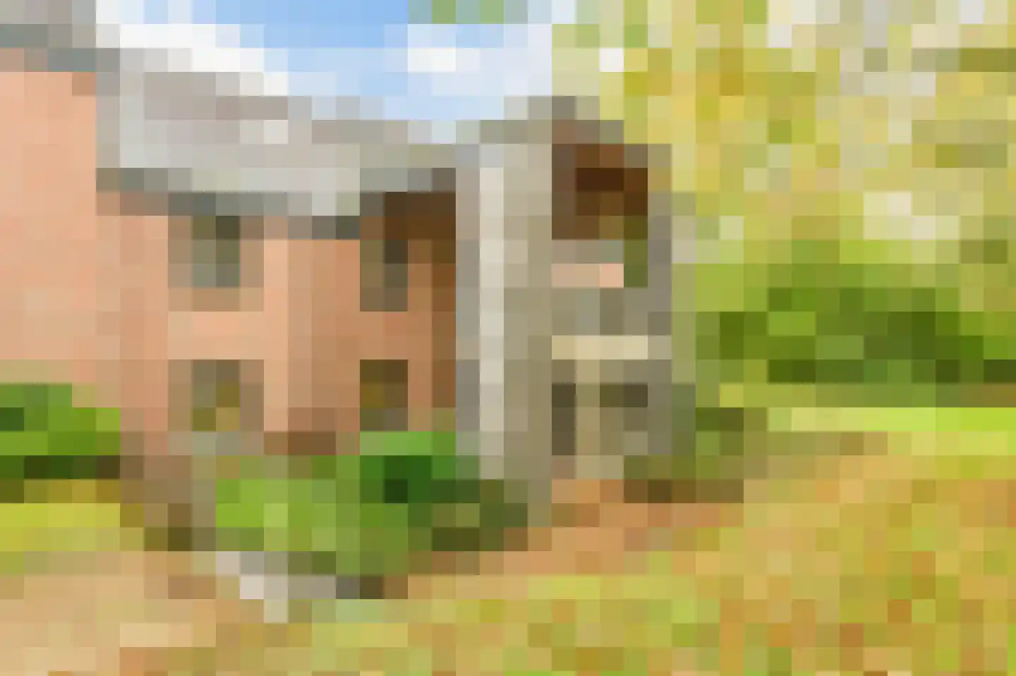 Navagne 216 Eijsden thumbnail 27