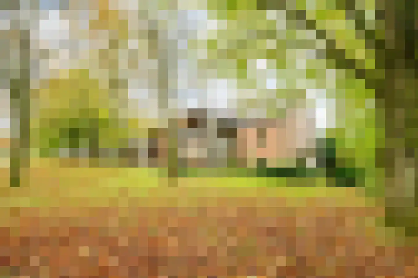 Navagne 216 Eijsden thumbnail 30