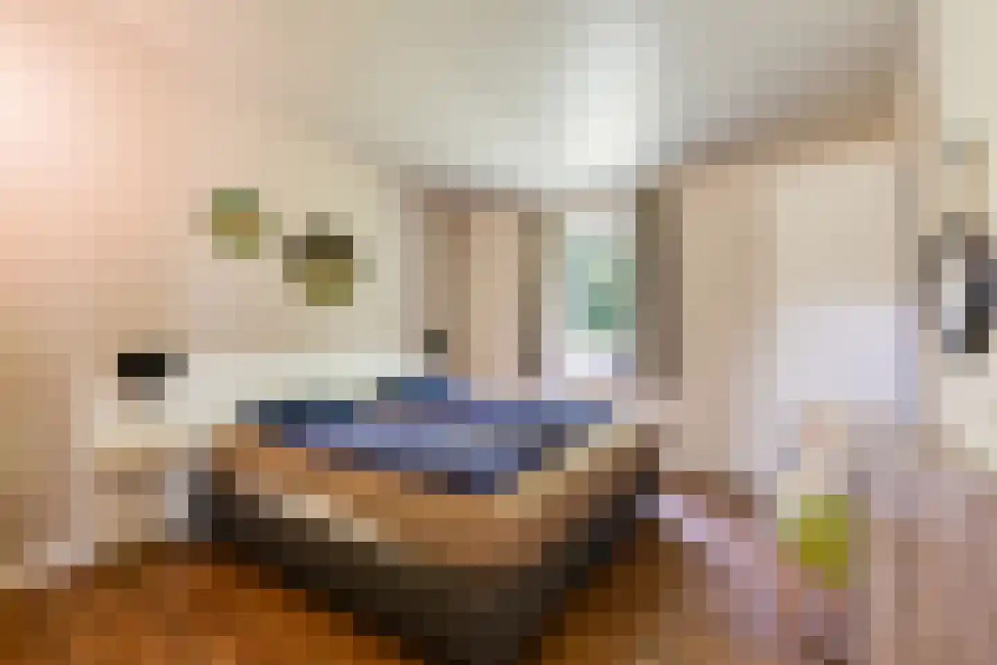 Navagne 245 Eijsden thumbnail 15