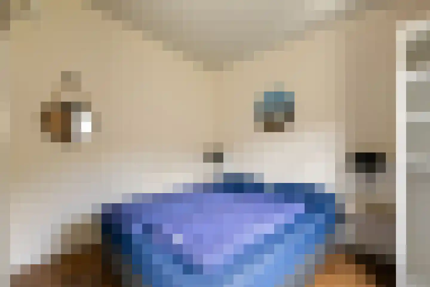 Navagne 245 Eijsden thumbnail 18
