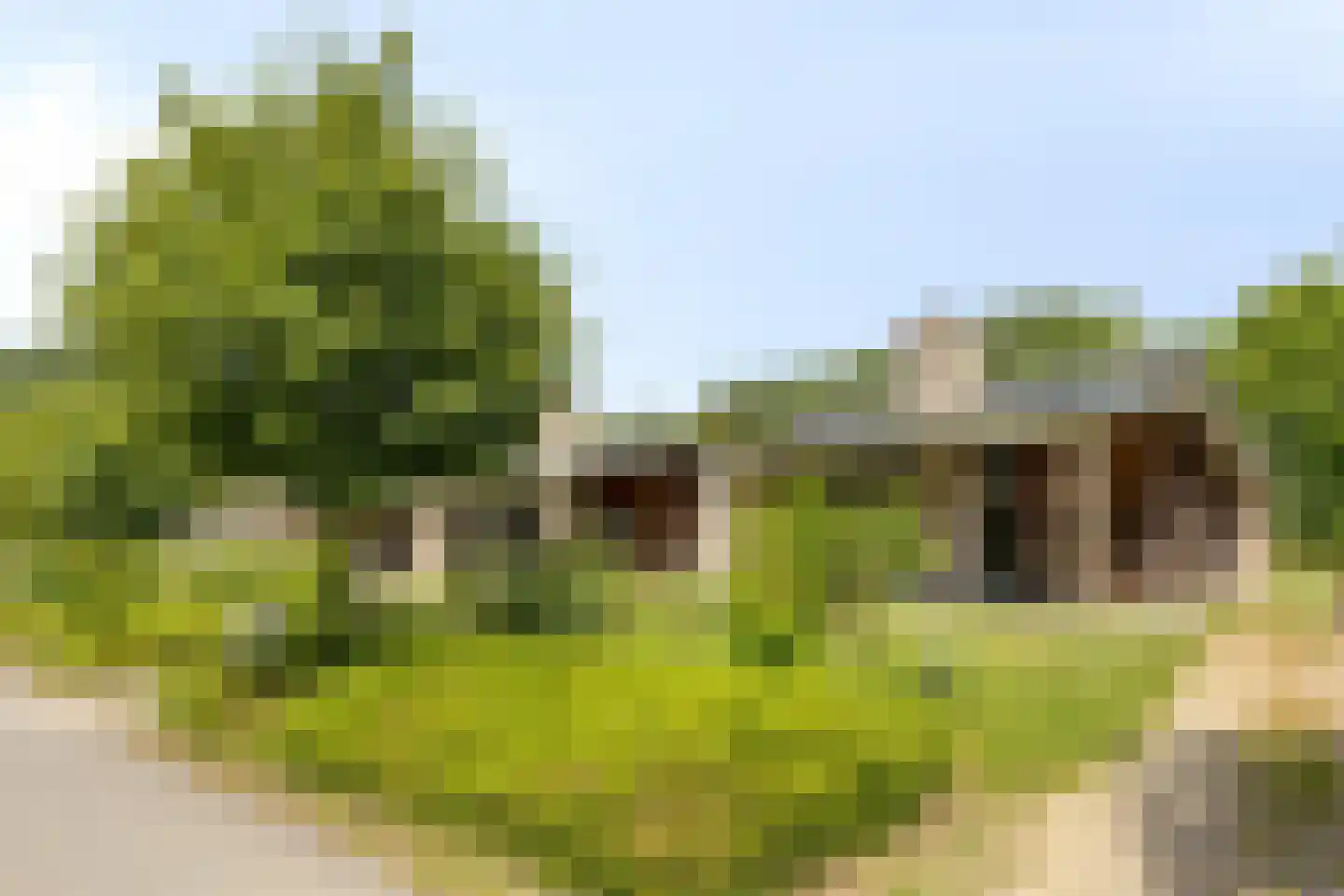 Navagne 245 Eijsden thumbnail 24
