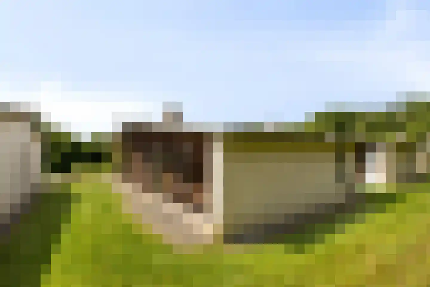 Navagne 245 Eijsden thumbnail 25