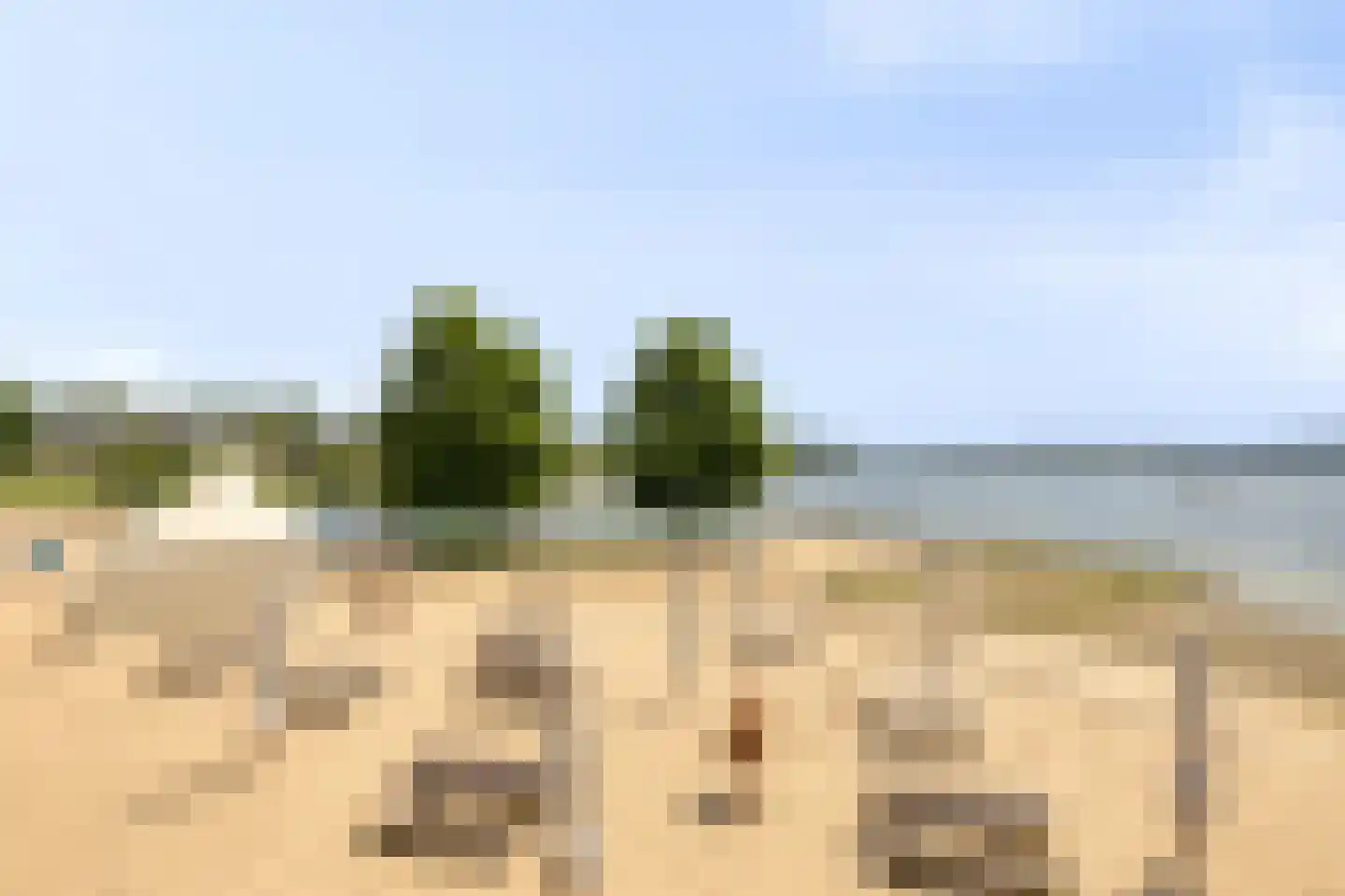 Navagne 245 Eijsden thumbnail 27