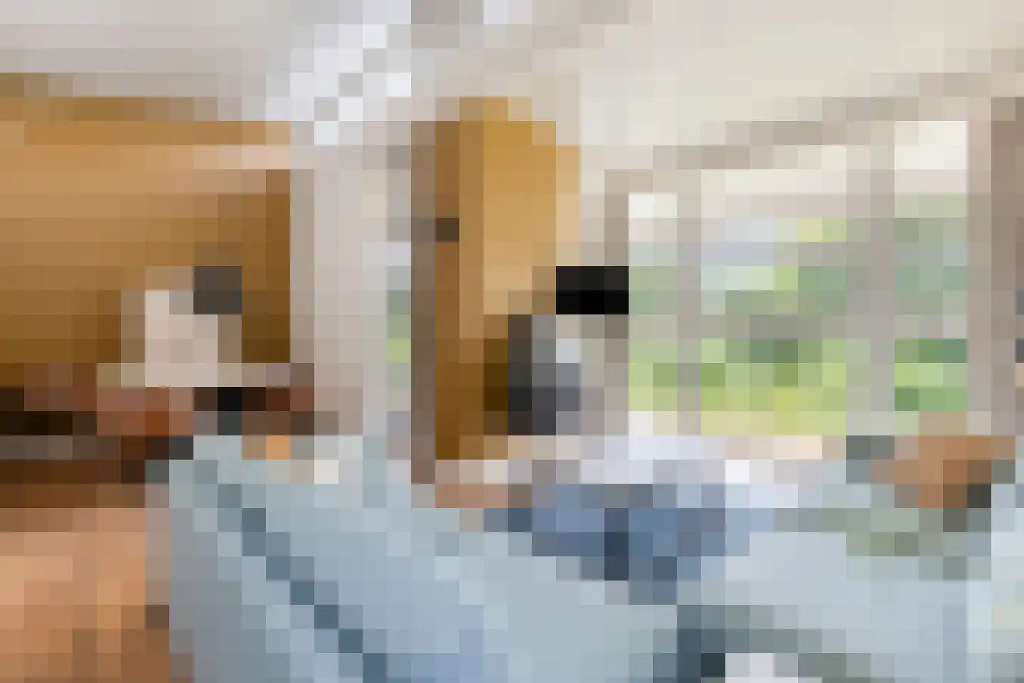 Navagne 245 Eijsden thumbnail 4