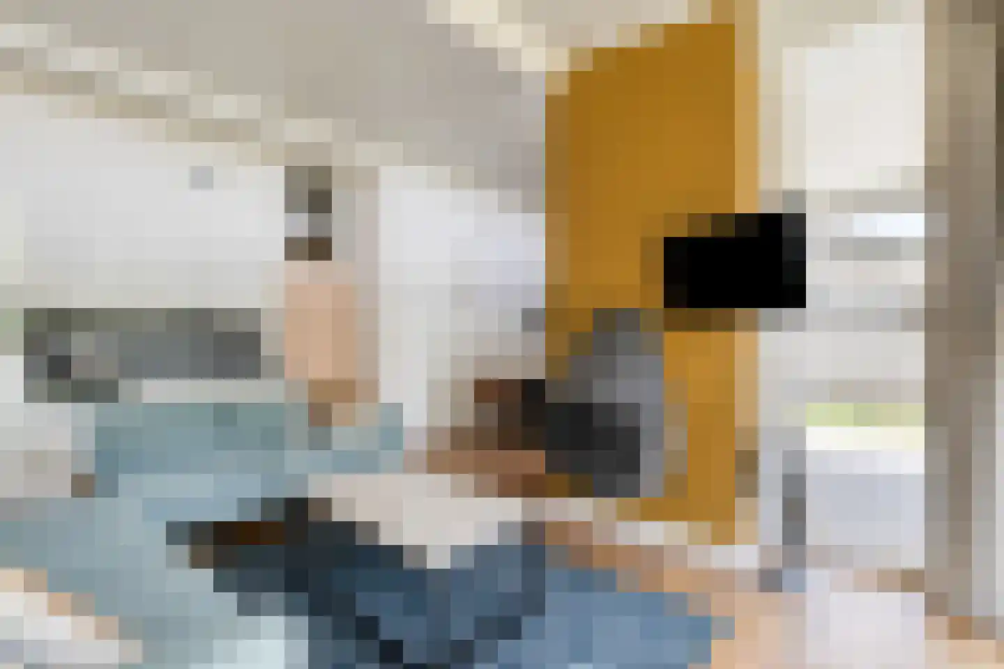 Navagne 245 Eijsden thumbnail 6