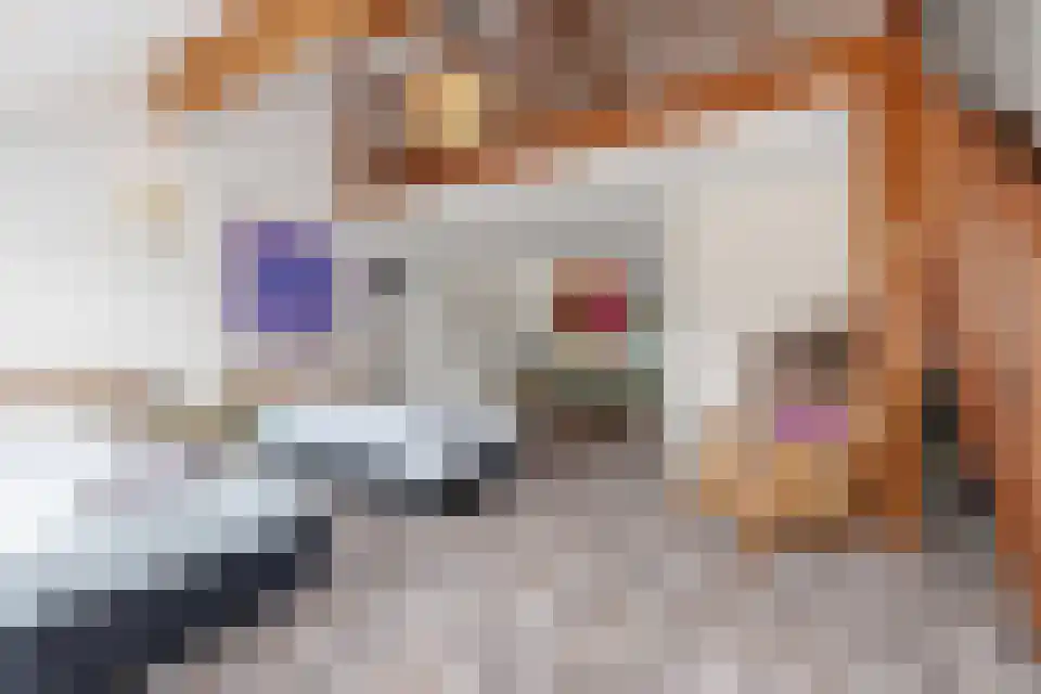 Navagne 3700 Tongeren Eijsden thumbnail 16
