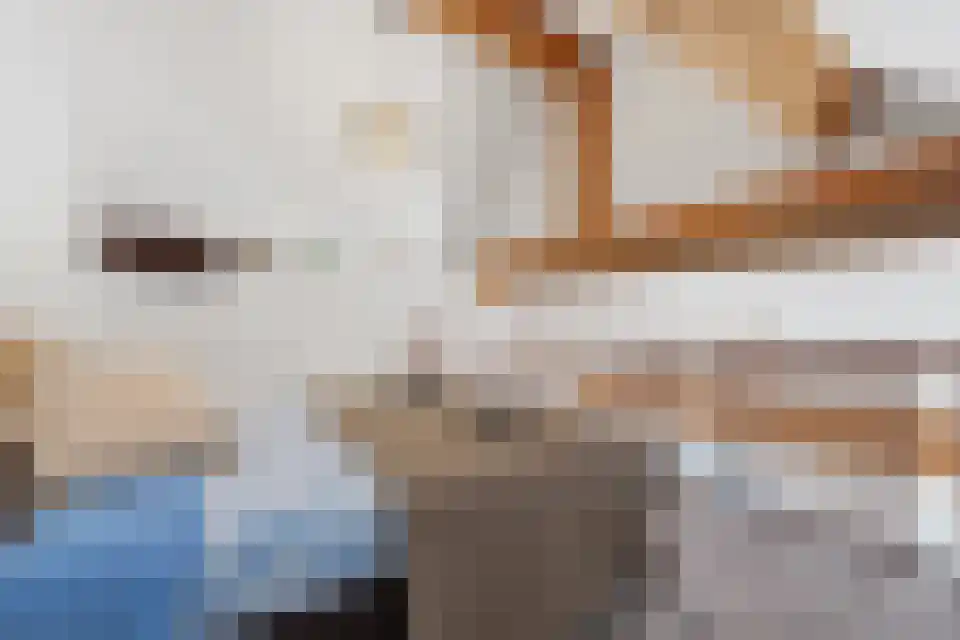 Navagne 3700 Tongeren Eijsden thumbnail 17
