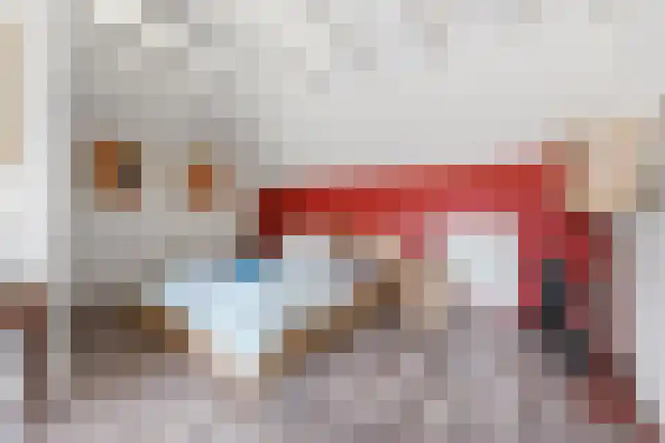 Navagne 3700 Tongeren Eijsden thumbnail 18
