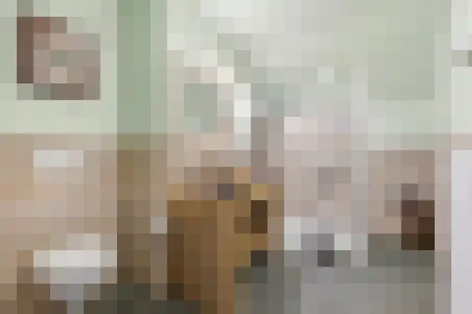Navagne 3700 Tongeren Eijsden thumbnail 20