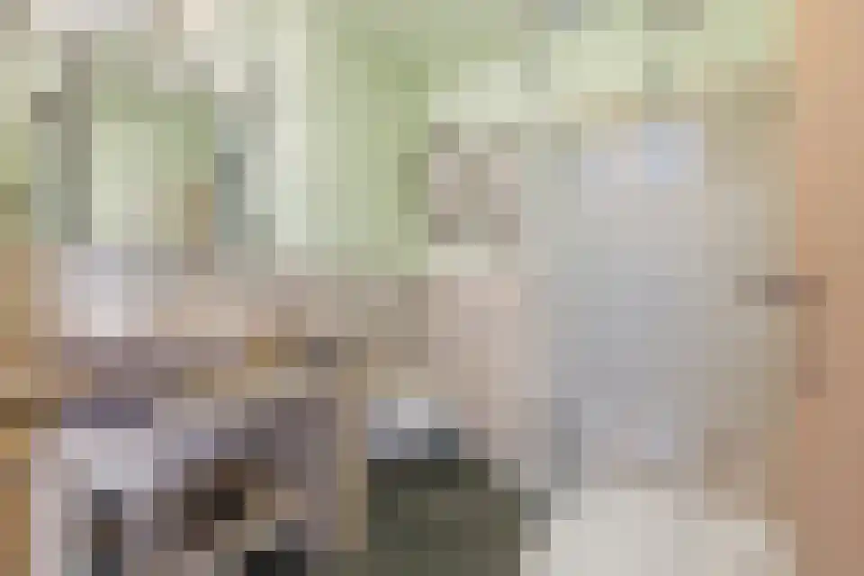 Navagne 3700 Tongeren Eijsden thumbnail 21