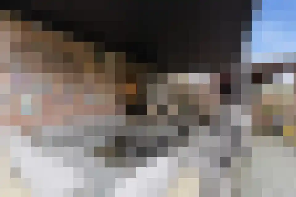 Navagne 3700 Tongeren Eijsden thumbnail 24