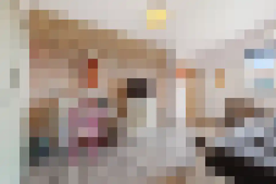 Navagne 3700 Tongeren Eijsden thumbnail 34
