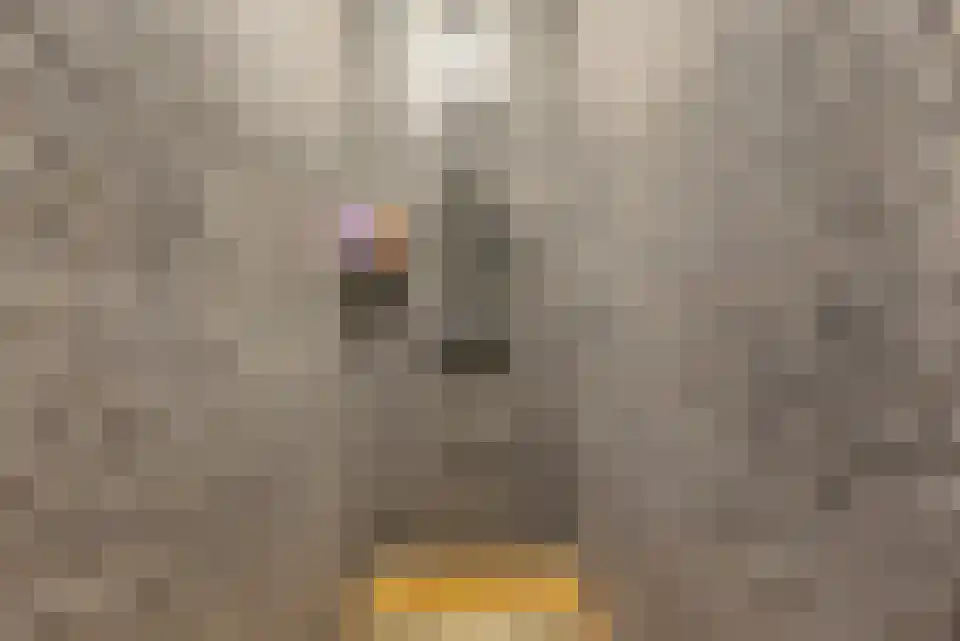 Navagne 3700 Tongeren Eijsden thumbnail 8
