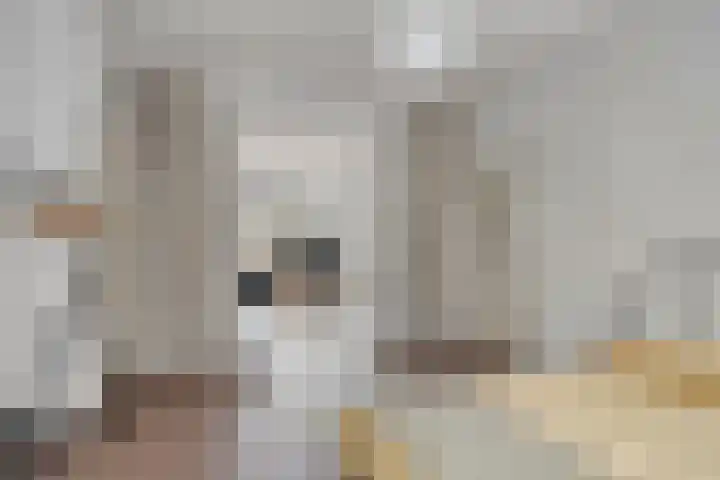 Navanderstraat 12 F Rotterdam thumbnail 14