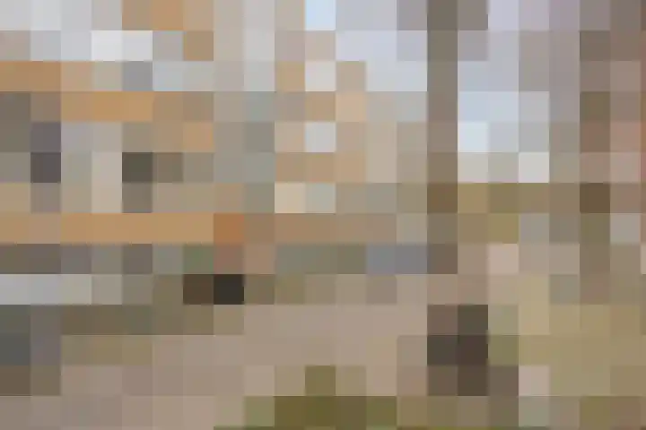 Navanderstraat 12 F Rotterdam thumbnail 23