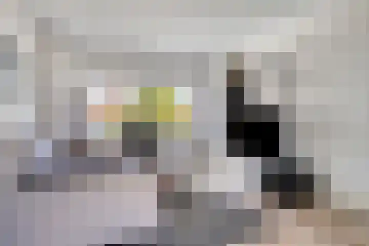 Navanderstraat 12 F Rotterdam thumbnail 7