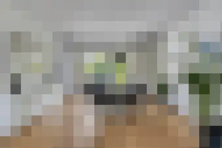 Navarralaan 3 Maastricht thumbnail 12