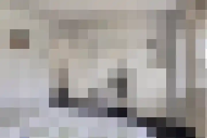 Navarralaan 3 Maastricht thumbnail 18