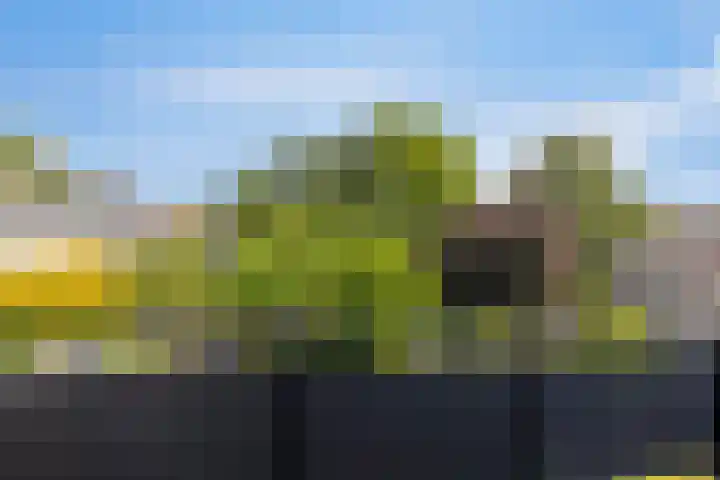 Navarralaan 3 Maastricht thumbnail 19