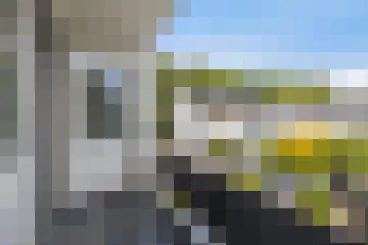 Navarralaan 3 Maastricht thumbnail 20