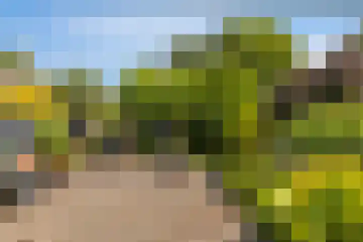 Navarralaan 3 Maastricht thumbnail 29