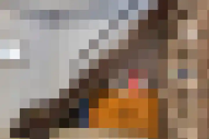 Navarralaan 3 Maastricht thumbnail 32