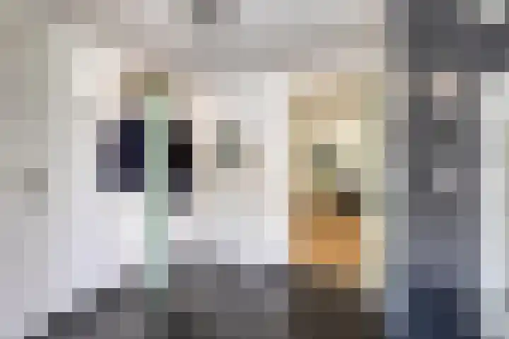 Navarralaan 3 Maastricht thumbnail 7