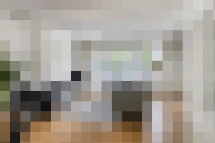 Navarralaan 3 Maastricht thumbnail 8