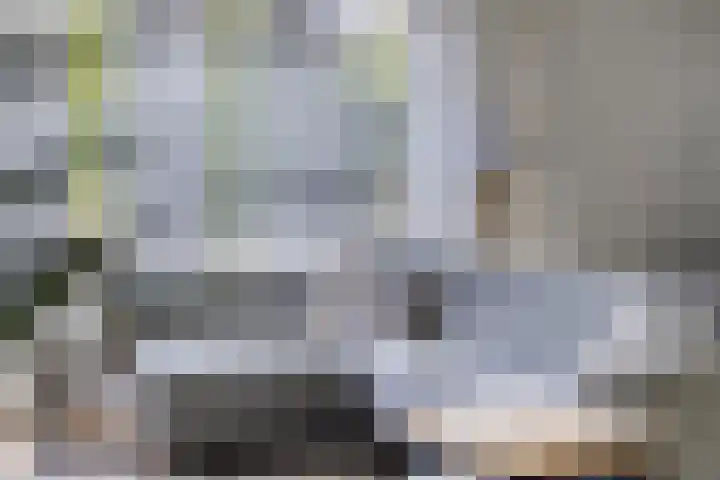 Navarralaan 3 Maastricht thumbnail 9