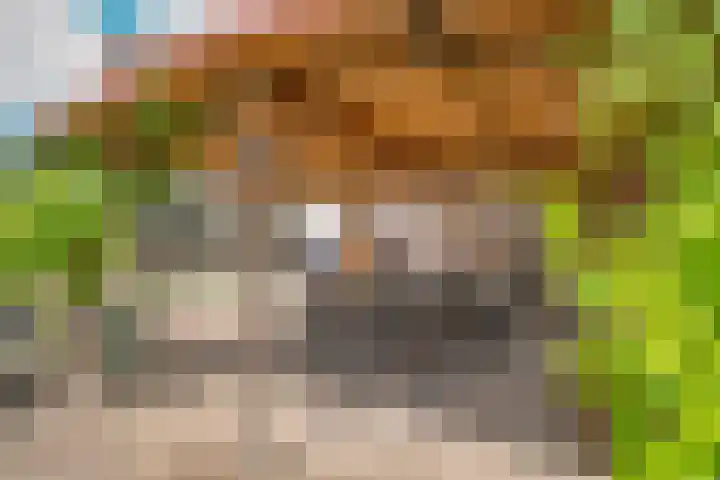 Navigatiepad 21 Tolkamer thumbnail 30