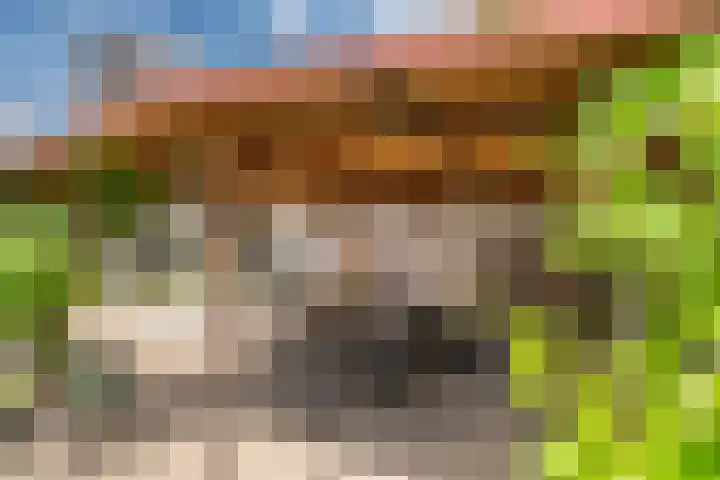 Navigatiepad 21 Tolkamer thumbnail 31