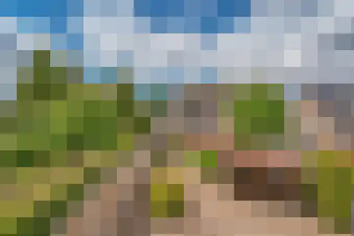 Navigatiepad 21 Tolkamer thumbnail 34