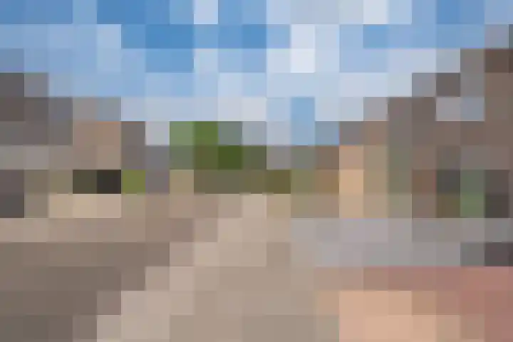 Navigatiepad 21 Tolkamer thumbnail 8