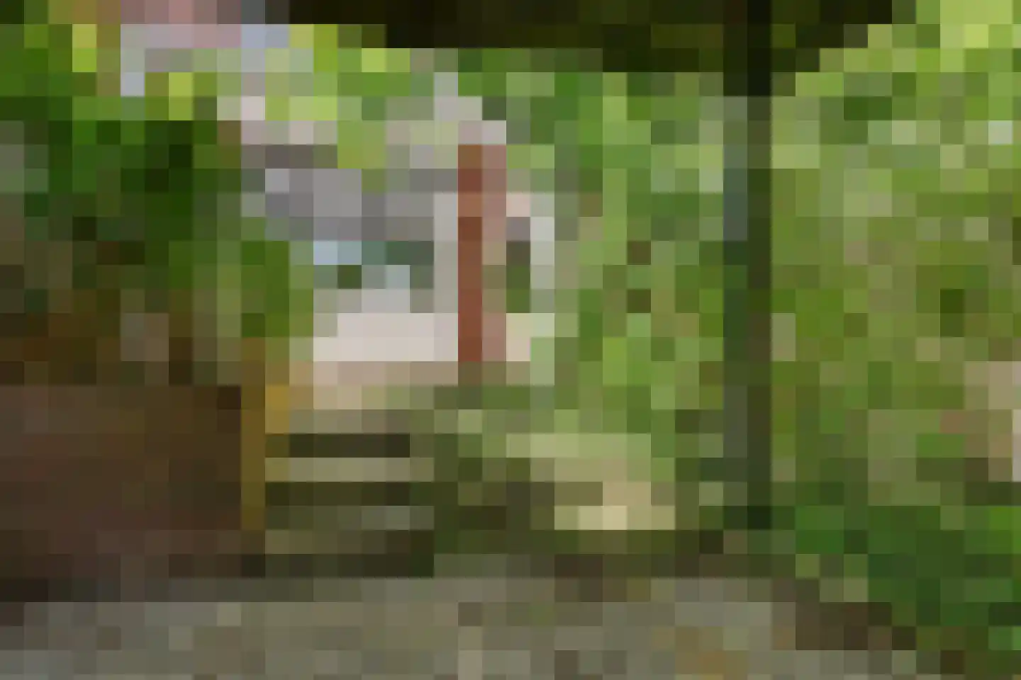 Navolaan 1 Heerlen thumbnail 17
